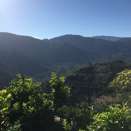 Gite , Maison De Vacances Avec Exterieur Et Terrasse Fleurie Meuble Tourisme 3 Etoiles Santa-Lucia-di-Tallano Εξωτερικό φωτογραφία