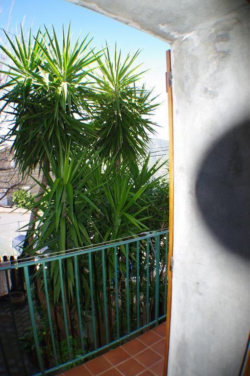 Gite , Maison De Vacances Avec Exterieur Et Terrasse Fleurie Meuble Tourisme 3 Etoiles Santa-Lucia-di-Tallano Εξωτερικό φωτογραφία