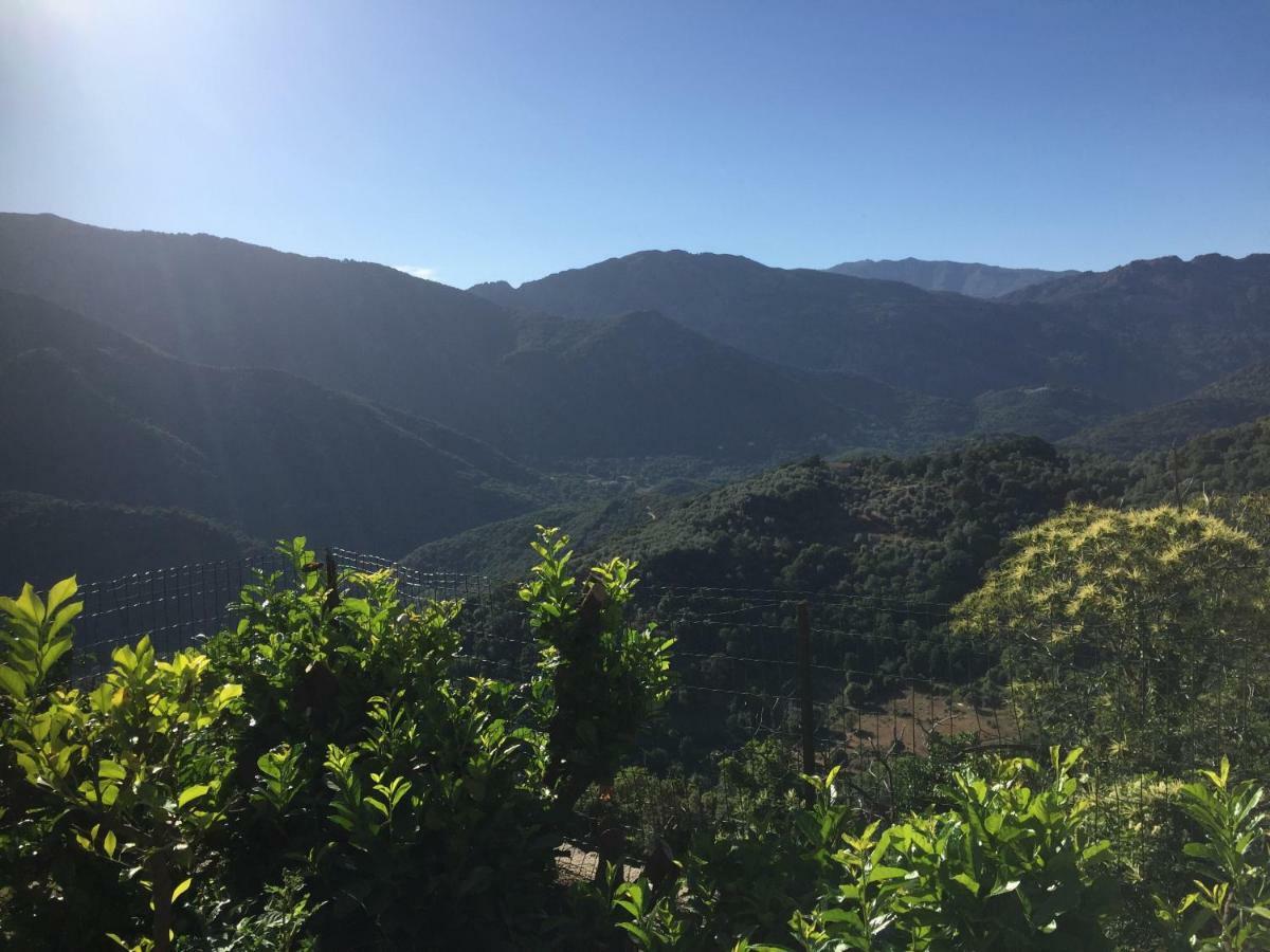 Gite , Maison De Vacances Avec Exterieur Et Terrasse Fleurie Meuble Tourisme 3 Etoiles Santa-Lucia-di-Tallano Εξωτερικό φωτογραφία