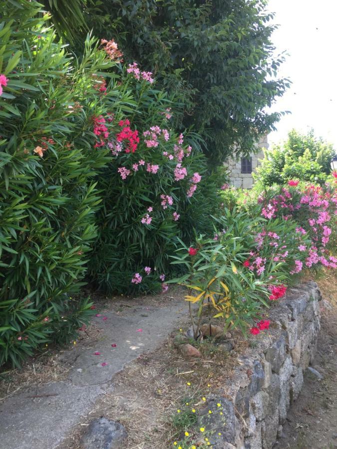 Gite , Maison De Vacances Avec Exterieur Et Terrasse Fleurie Meuble Tourisme 3 Etoiles Santa-Lucia-di-Tallano Εξωτερικό φωτογραφία