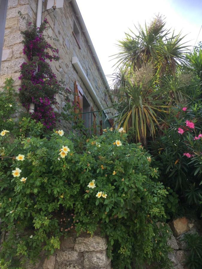 Gite , Maison De Vacances Avec Exterieur Et Terrasse Fleurie Meuble Tourisme 3 Etoiles Santa-Lucia-di-Tallano Εξωτερικό φωτογραφία